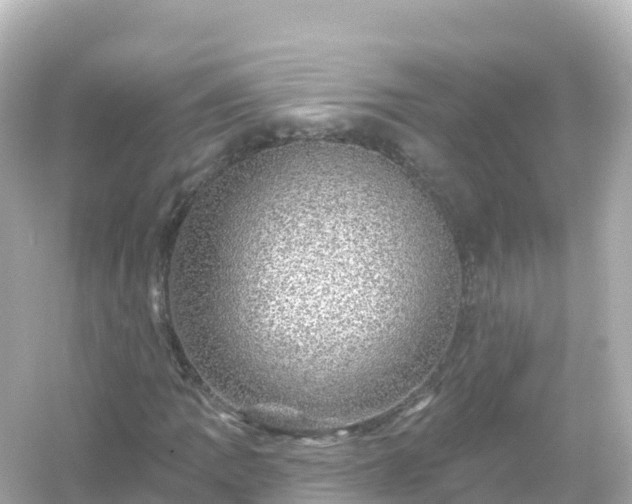 X0000054461109200508051943