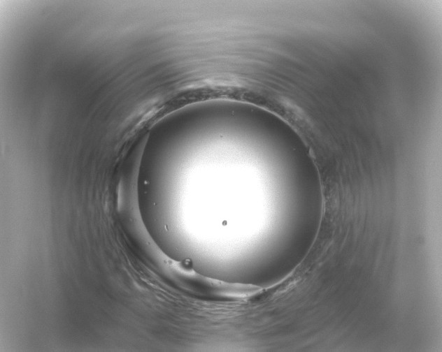 X0000054461110200508051943