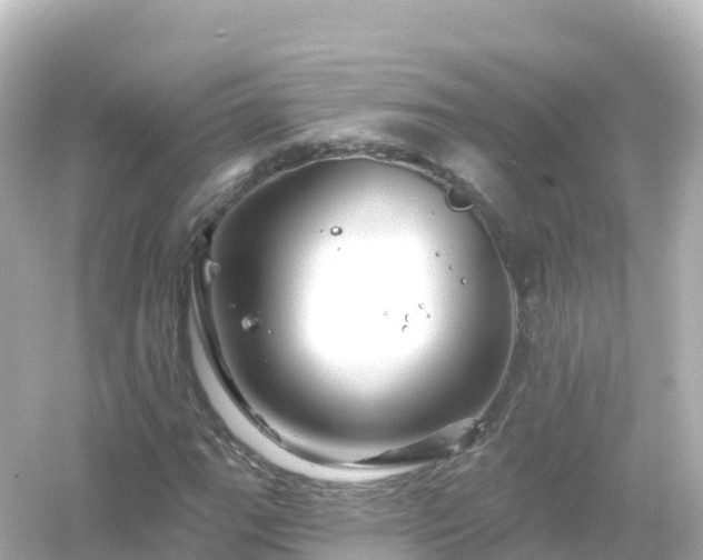 X0000054461111200508051943