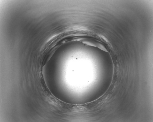 X0000054461112200508051943