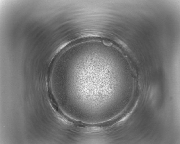 X0000054461113200508051943