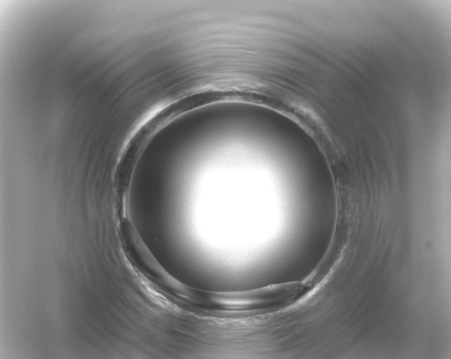 X0000054461114200508051943