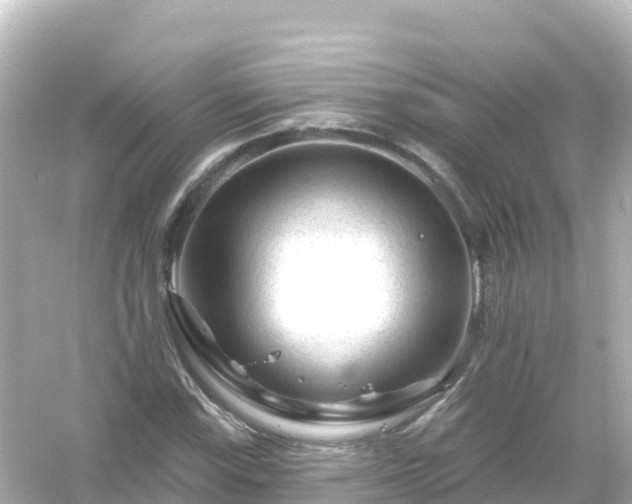 X0000054461115200508051943