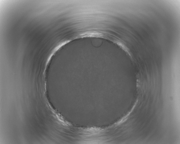 X0000054461117200508051944