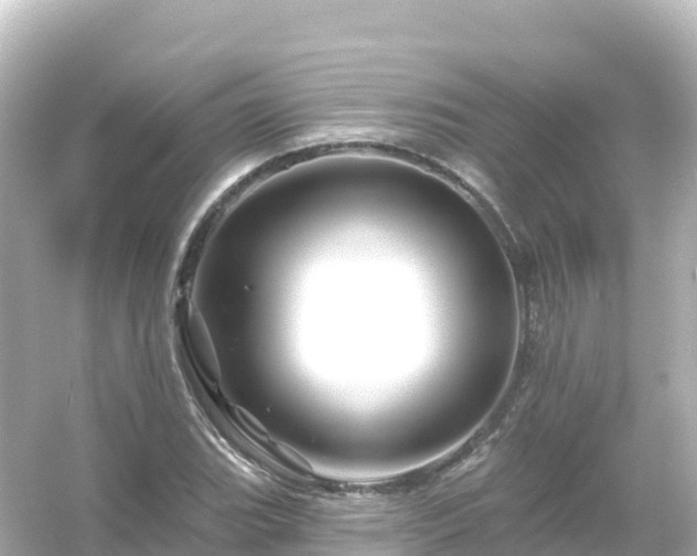 X0000054461119200508051944