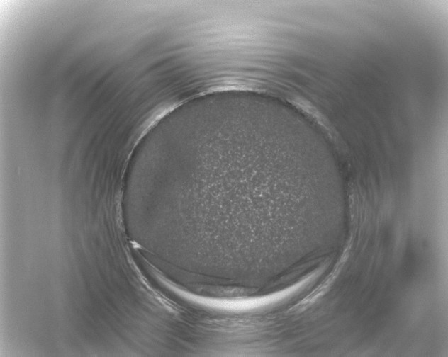 X0000054461121200508051944