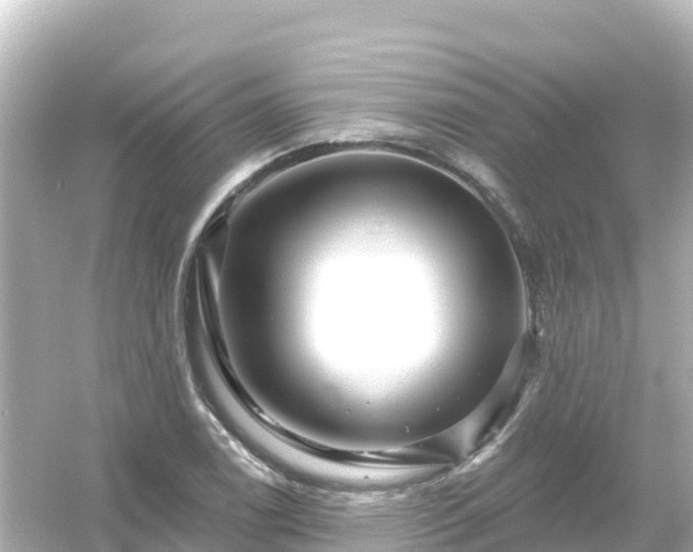 X0000054461122200508051944