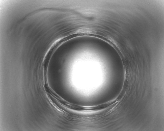 X0000054461123200508051944