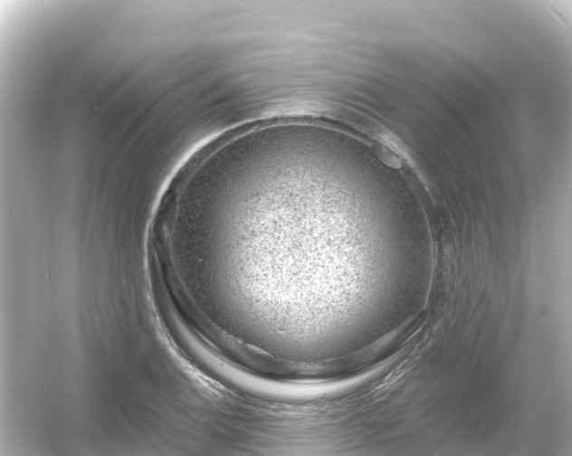 X0000054461124200508051944