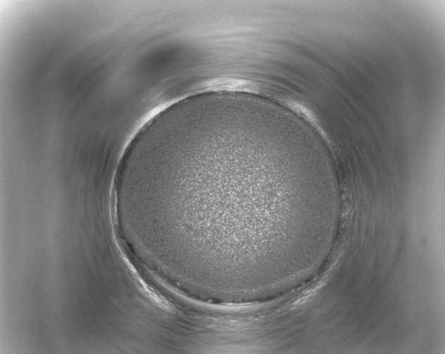 X0000054461125200508051944