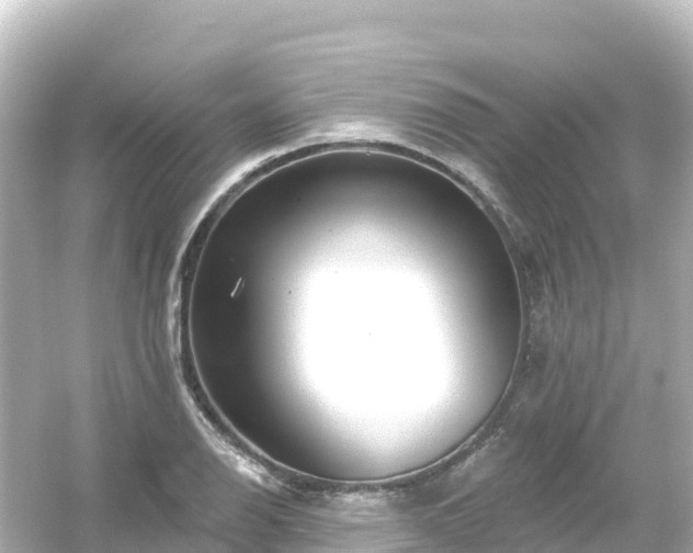 X0000054461126200508051944