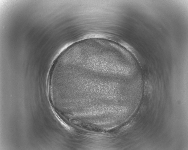 X0000054461127200508051944