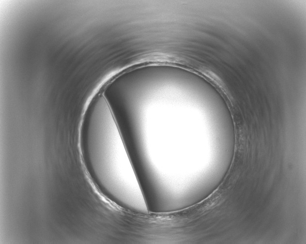 X0000054461128200508051944