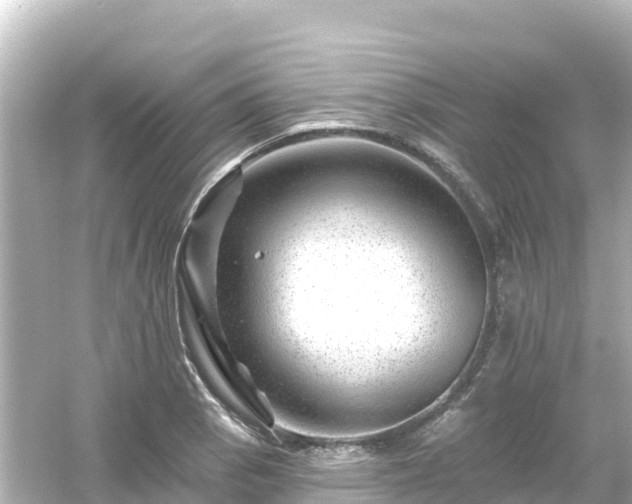 X0000054461129200508051944