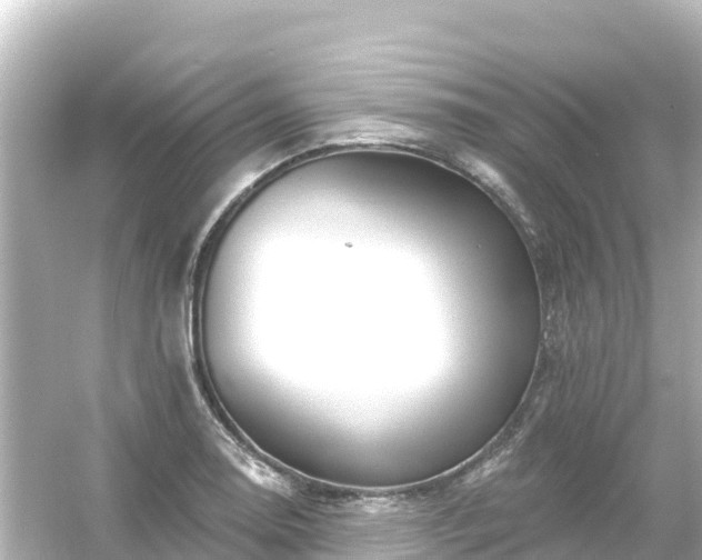 X0000054461130200508051944