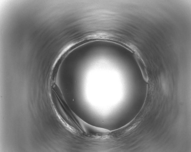 X0000054461131200508051944