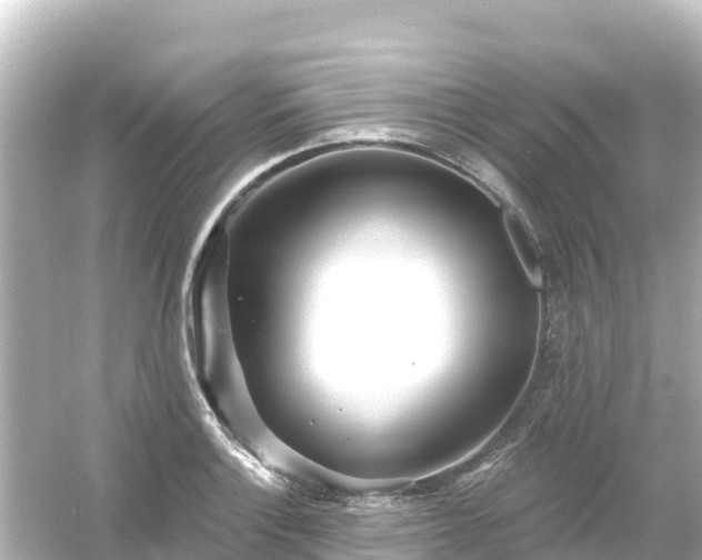 X0000054461132200508051944