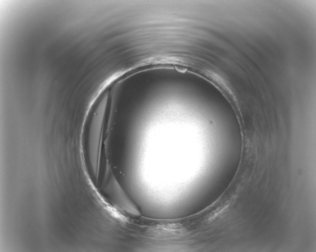 X0000054461133200508051944