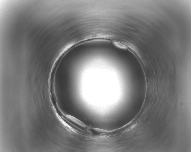 X0000054461135200508051944