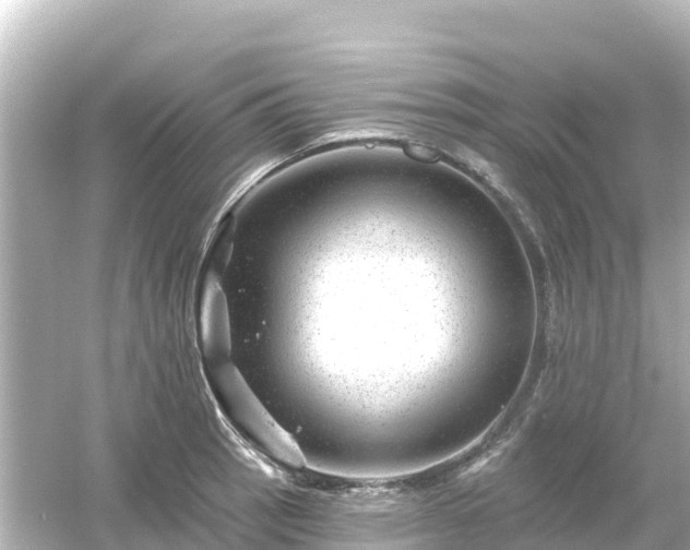 X0000054461137200508051944