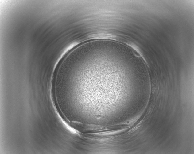 X0000054461139200508051944