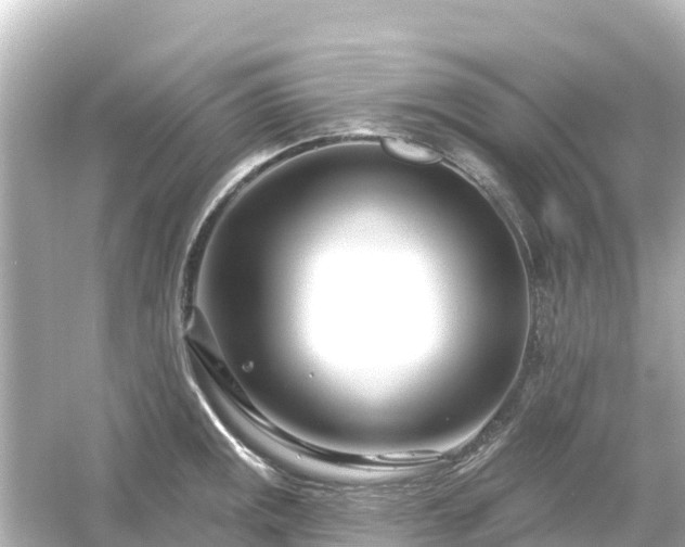 X0000054461141200508051944