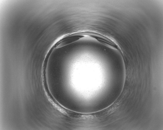 X0000054461142200508051944