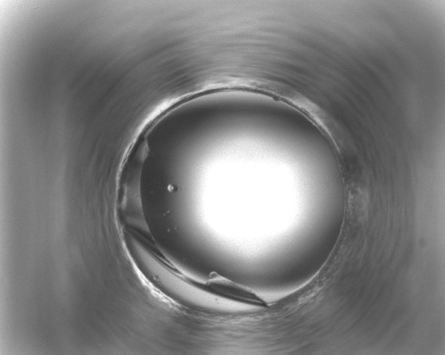 X0000054461143200508051944