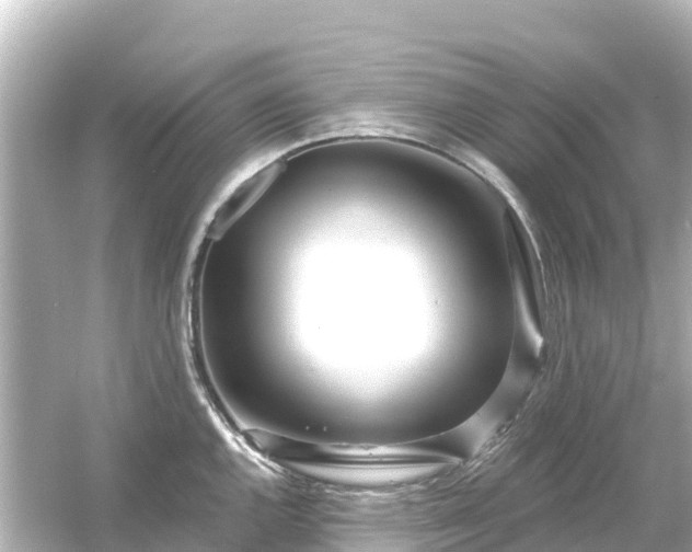 X0000054461144200508051944