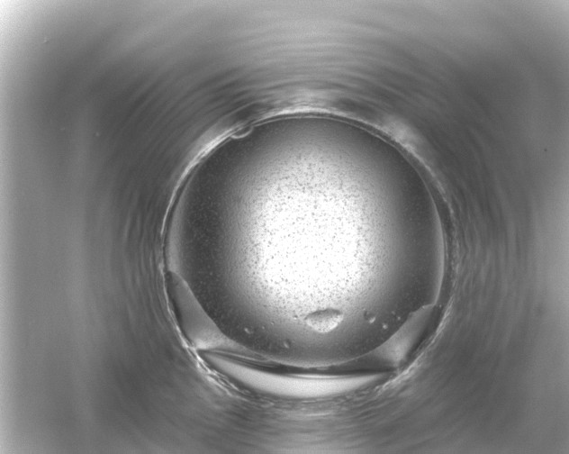 X0000054461145200508051944