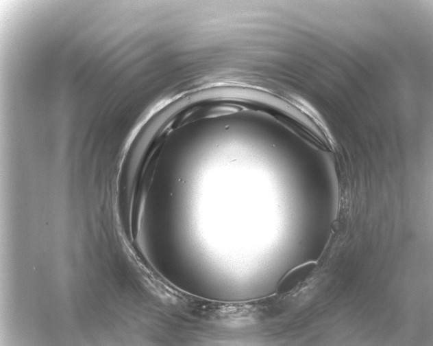 X0000054461146200508051944