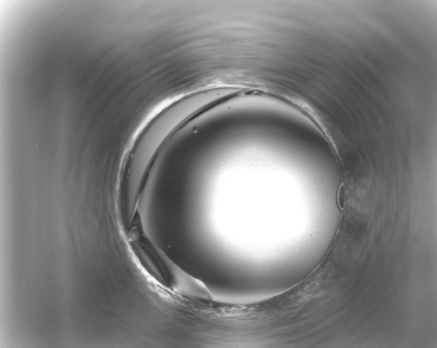 X0000054461147200508051944