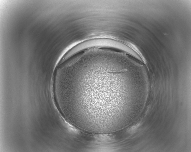 X0000054461149200508051944