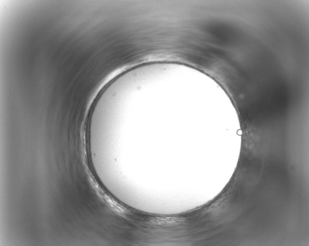 X0000054461150200508051944