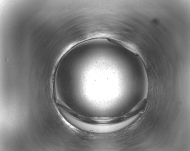 X0000054461151200508051944