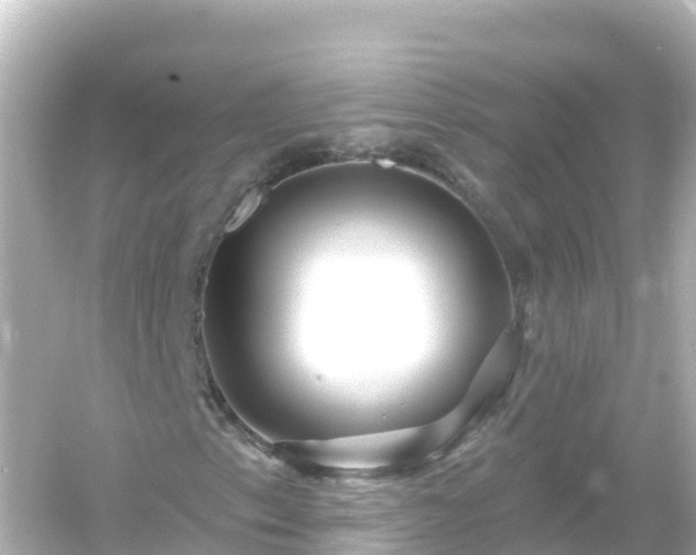 X0000054461153200508051943