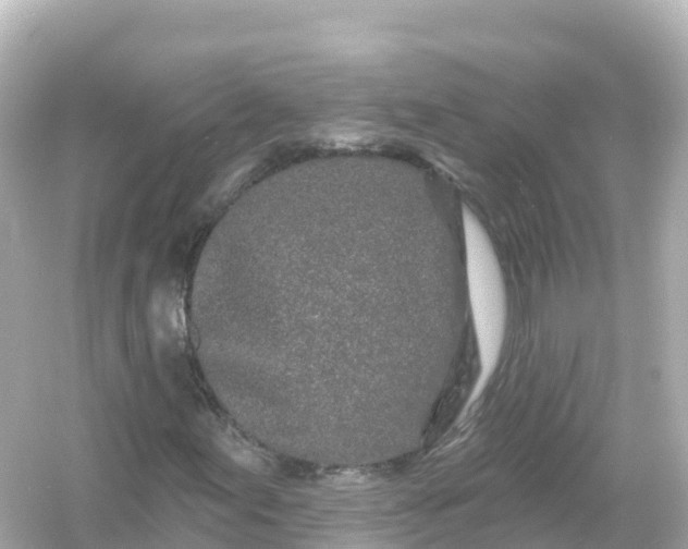 X0000054461155200508051943