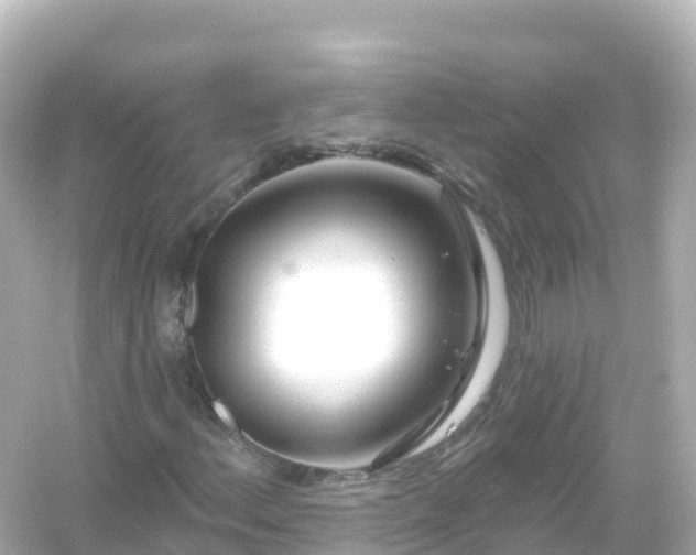 X0000054461156200508051943