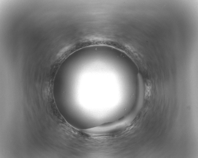 X0000054461157200508051943