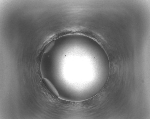 X0000054461158200508051943