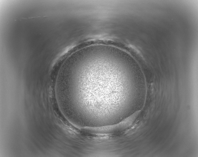 X0000054461159200508051943