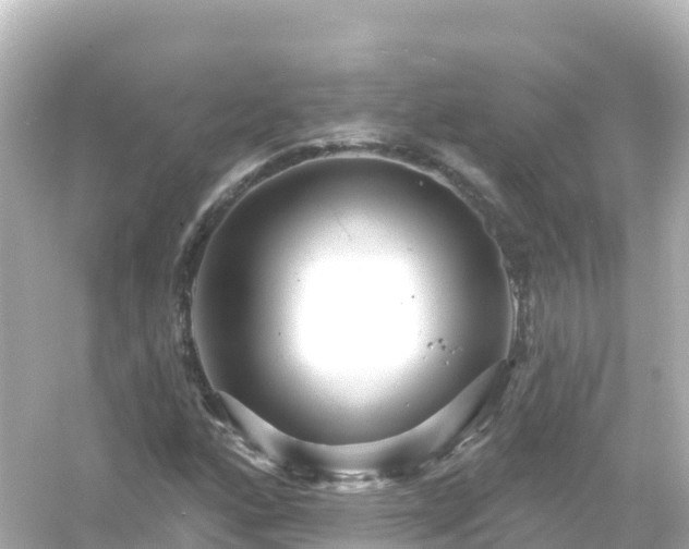 X0000054461160200508051943