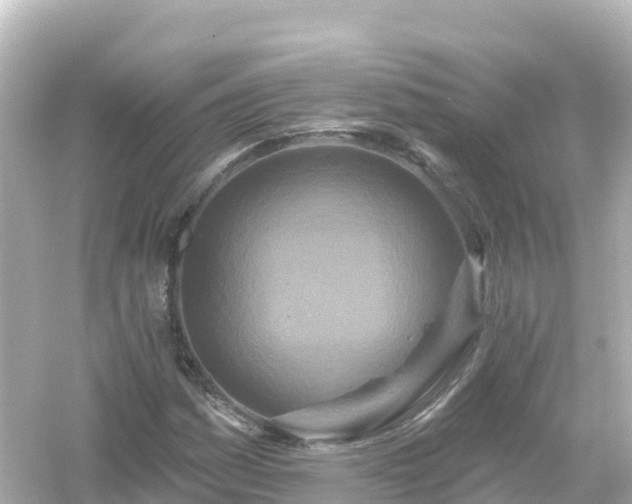 X0000054461161200508051943