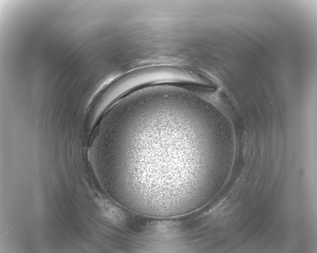 X0000054461163200508051943