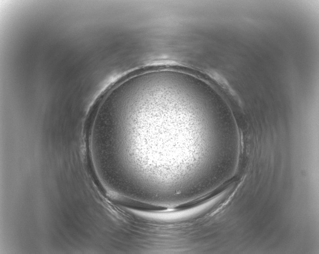 X0000054461167200508051943