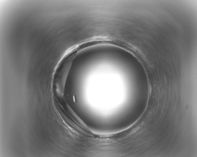 X0000054461168200508051943