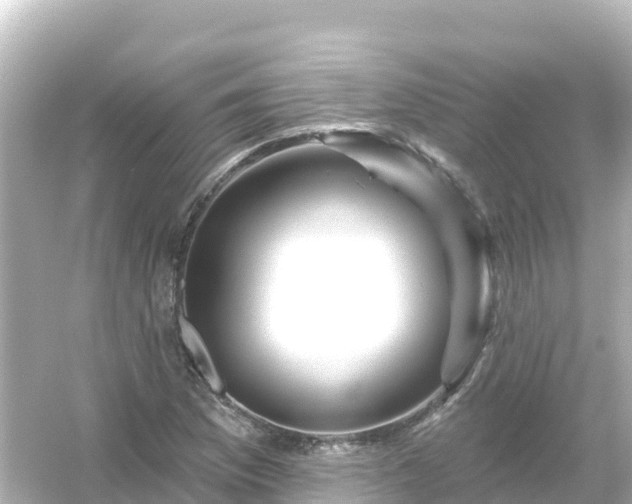 X0000054461169200508051943