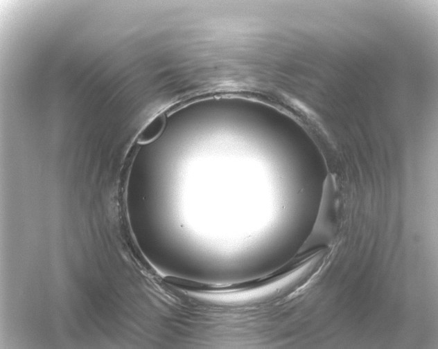 X0000054461170200508051943