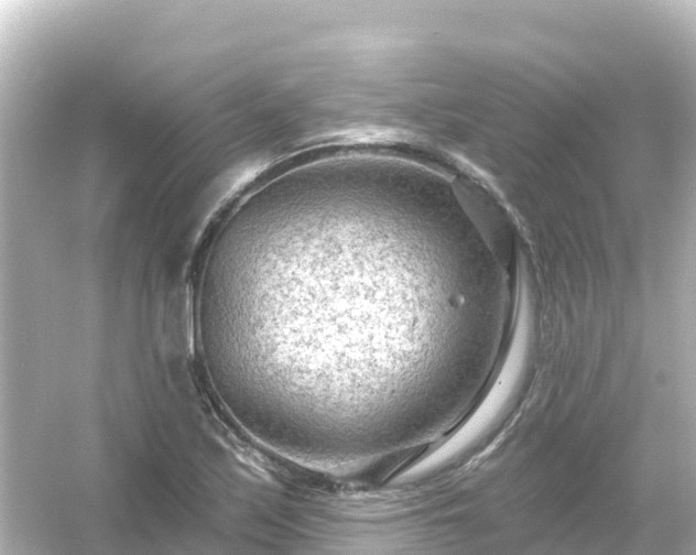 X0000054461171200508051943