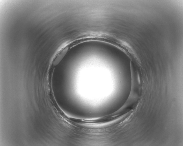 X0000054461172200508051943